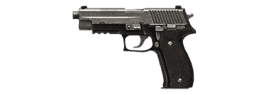 P226