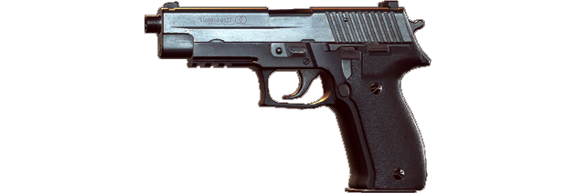 P226