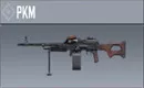 PKM