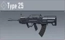 Type 25