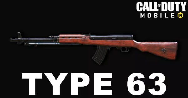 Type 63