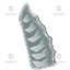 Fervid Grip