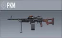 PKM
