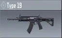 Type 19
