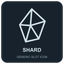 Spiked Barrage Shard